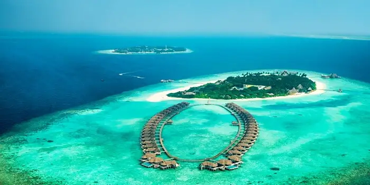 Awesome March the Month of Cherry Blossoms 13 Maldives