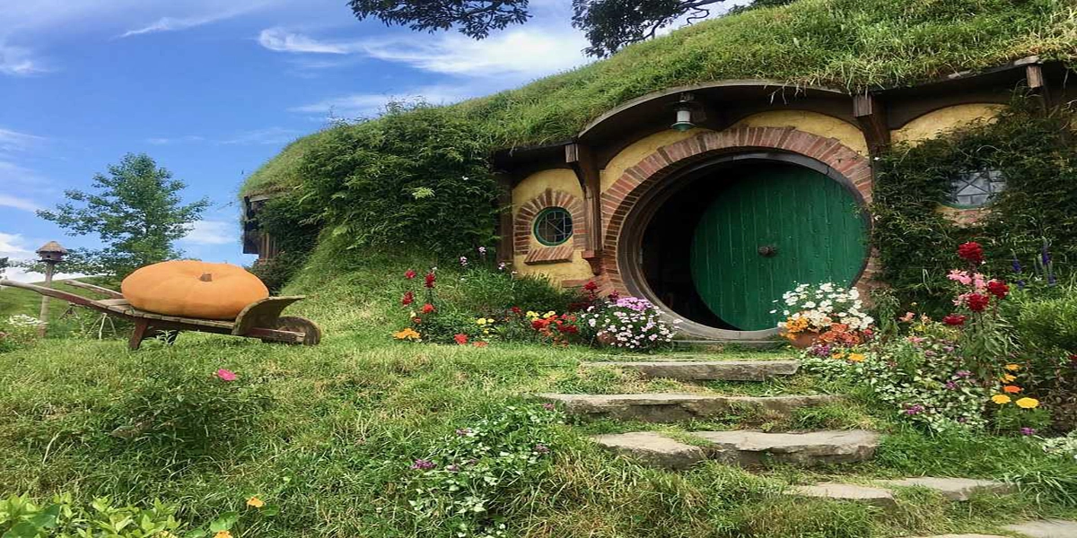 Amazing Places to visit in January 3 New Zealand