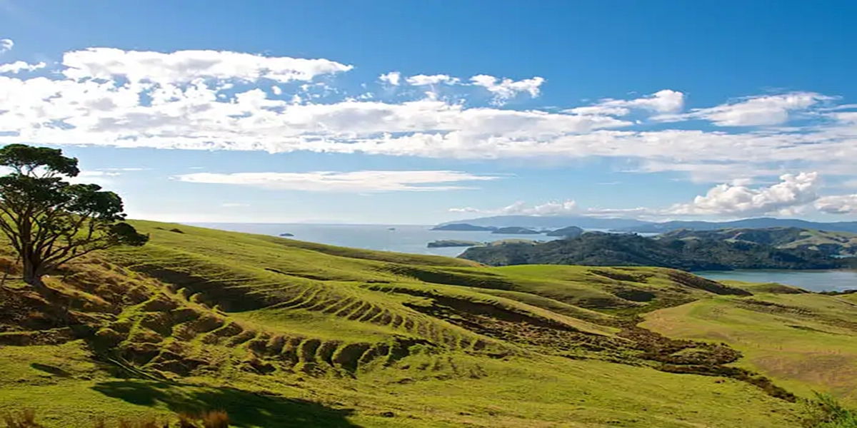 Mesmerizing February is A Great Month To Travel 3 New Zealand